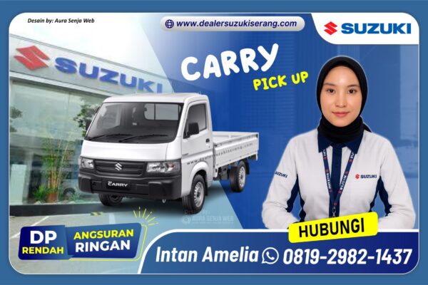 CARRY PICK UP